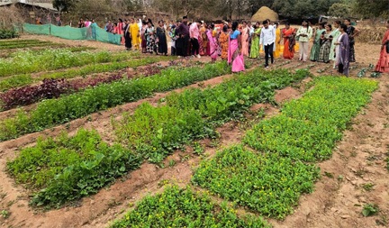 बस्तर के नवाचार देख उत्साहित हुईं बिलासपुर की दीदियाँ बस्तर के नवाचार देख उत्साहित हुईं बिलासपुर की दीदियाँ