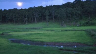 प्रकृति, संस्कृति और मनोरंजन का त्रिवेणी संगम : 13 फरवरी से सजेगा तीन दिवसीय ’मैनपाट महोत्सव’ का भव्य मंच