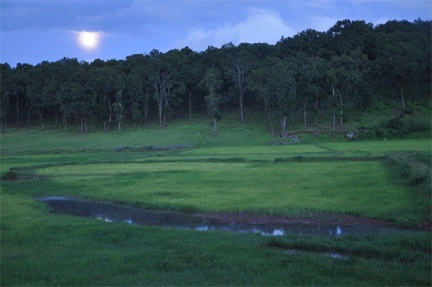 प्रकृति, संस्कृति और मनोरंजन का त्रिवेणी संगम : 13 फरवरी से सजेगा तीन दिवसीय ’मैनपाट महोत्सव’ का भव्य मंच