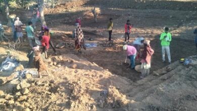 मछली पालन और खेतों की सिंचाई का आधार बनेगी आजीविका डबरी