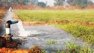 सुकमा जिले में डीएमएफ मद से स्वीकृत 178 नलकूप खनन कार्य सफल 177 कार्य पूर्ण