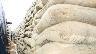 रायपुर में धान खरीदी घोटाला