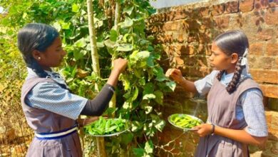 बच्चों को मिल रहा पौष्टिक आहार विद्यालय की बगिया से