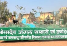 छत्तीसगढ़ का ‘खजुराहो’ भोरमदेव में शुरू किया जाएगा जंगल सफारी