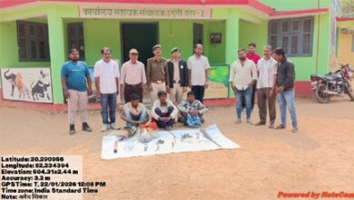 उदंती-सीतानदी टाइगर रिज़र्व में 3 शिकारी गिरफ्तार