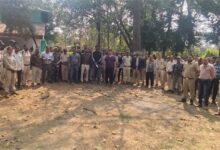 अखिल भारतीय बाघ गणना पर कोटा परियोजना मण्डल में विशेष प्रशिक्षण आयोजित