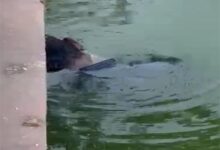 कंकाली पारा तालाब में युवक की लाश मिलने से इलाके में दहशत