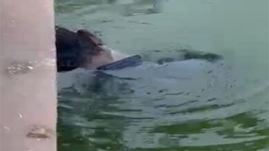 कंकाली पारा तालाब में युवक की लाश मिलने से इलाके में दहशत