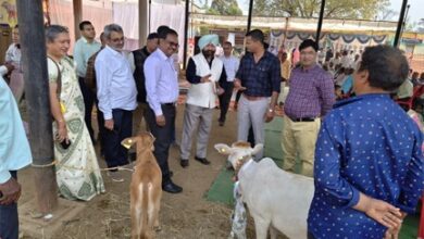 केन्द्रीय पर्यवेक्षकों ने छत्तीसगढ़ में पशुधन योजनाओं का लिया फीडबैक