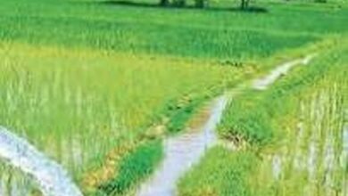 महाराटोला जलाशय और कांशीनाला व्यपवर्तन सिंचाई योजना के कार्यों के लिए 2.92 रुपए स्वीकृत