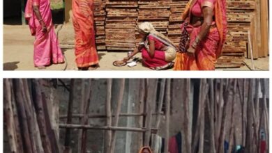 साझी मेहनत, साझा समृद्धि — ‘बिहान’ से बदल रहा ग्रामीण महिला जीवन