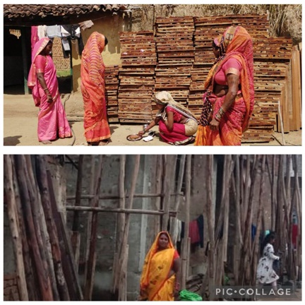 साझी मेहनत, साझा समृद्धि — ‘बिहान’ से बदल रहा ग्रामीण महिला जीवन