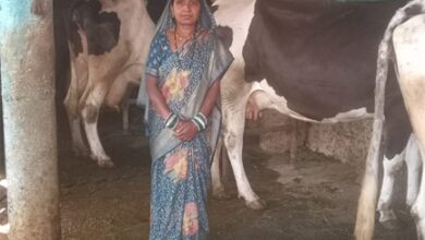 स्व-सहायता समूह से बदली जिंदगी, डेयरी और खेती से ‘लखपति दीदी’ बनीं माधुरी जंघेल