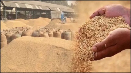 धान खरीदी में छत्तीसगढ़ बना मिसाल, एआई और डेटा मॉडल से नई व्यवस्था