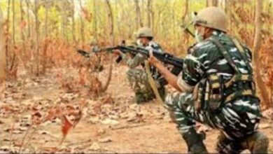 “सुरक्षा बलों की सफलता: माओवादियों का बड़ा हथियार डंप राजनंदगांव में पकड़ा गया”