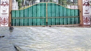 मगरमच्छ संरक्षण से बदली कोटमीसोनार की तस्वीर