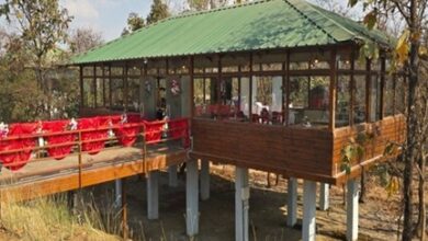 प्रकृति की गोद में रोमांच- मोहरेंगा नेचर सफारी