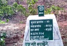 वनों की सुरक्षा को मिला नया कवच- 227 मुनारों का निर्माण पूर्ण