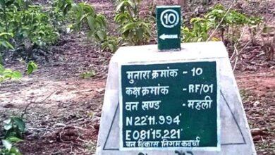 वनों की सुरक्षा को मिला नया कवच- 227 मुनारों का निर्माण पूर्ण