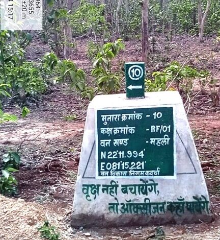 वनों की सुरक्षा को मिला नया कवच- 227 मुनारों का निर्माण पूर्ण