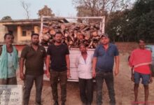 लकड़ी के अवैध परिवहन पर कार्रवाई