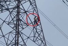 रायपुर में हाईटेंशन टावर पर ग्रामीण ने किया चढ़ाई, मचा हड़कंप रायपुर में हाईटेंशन टावर पर ग्रामीण ने किया चढ़ाई, मचा हड़कंप