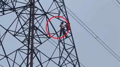 रायपुर में हाईटेंशन टावर पर ग्रामीण ने किया चढ़ाई, मचा हड़कंप रायपुर में हाईटेंशन टावर पर ग्रामीण ने किया चढ़ाई, मचा हड़कंप