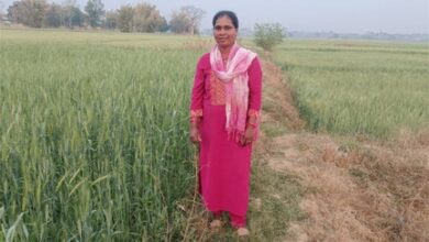 रसायन मुक्त खेती से अनिमा खेस्स ने रची नई इबारत, बनीं अन्य किसानों के लिए प्रेरणा रसायन मुक्त खेती से अनिमा खेस्स ने रची नई इबारत, बनीं अन्य किसानों के लिए प्रेरणा