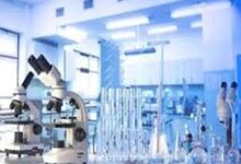 छत्तीसगढ़ उच्च शिक्षा विभाग: प्रयोगशाला परिचारक भर्ती काउंसलिंग का शेड्यूल जारी