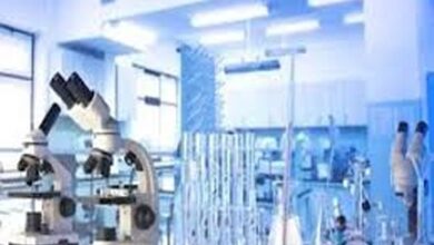 छत्तीसगढ़ उच्च शिक्षा विभाग: प्रयोगशाला परिचारक भर्ती काउंसलिंग का शेड्यूल जारी