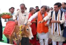 मुख्यमंत्री विष्णुदेव साय ने गौधाम योजना का किया शुभारंभ : प्रदेश में गोधन संरक्षण को मिला नया आधार