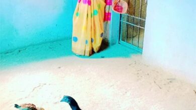 स्व-सहायता समूह से जुड़कर लखपति दीदी बनी कांतिबाई स्व-सहायता समूह से जुड़कर लखपति दीदी बनी कांतिबाई