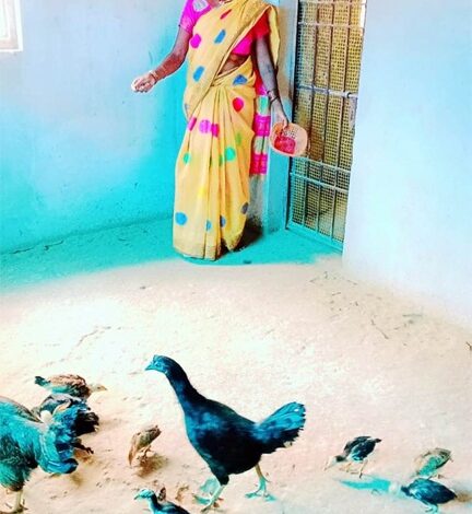 स्व-सहायता समूह से जुड़कर लखपति दीदी बनी कांतिबाई