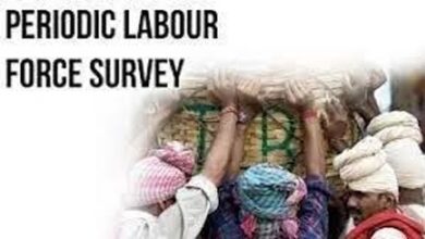 PLFS कार्यशाला एवं प्रशिक्षण कार्यक्रम का सफल आयोजन