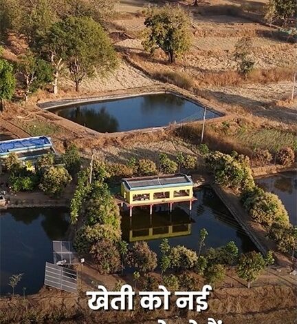 तालाब के ऊपर मुर्गी पालन कर खेती को और अधिक लाभकारी बनाया