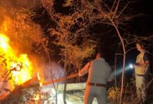 होली के दिन भी वनों की सुरक्षा में जुटे रहे वनकर्मी