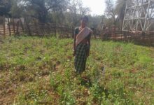 महतारी वंदन योजना से बदली जिंदगी की तस्वीर : सुखी पुनेम बनीं आत्मनिर्भरता और पोषण की मिसाल