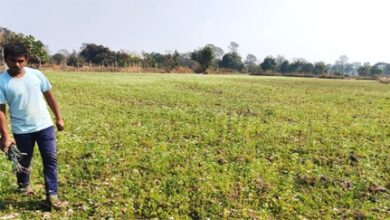 राष्ट्रीय बागवानी मिशन : किसान प्रमोद उद्यानिकी खेती से बना आत्मनिर्भर