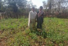 महतारी वंदन योजना से बदली जिंदगी- सुखी पुनेम बनीं गांव की महिलाओं के लिए प्रेरणा