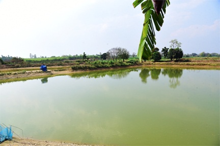 प्रधानमंत्री मत्स्य संपदा योजना प्रधानमंत्री मत्स्य संपदा योजना