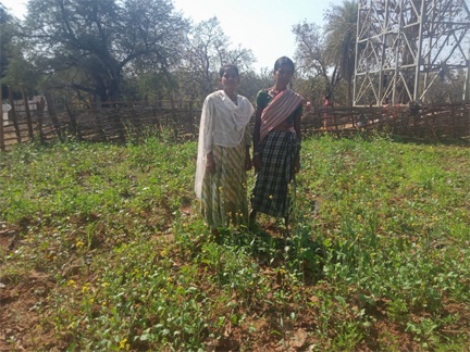 महतारी वंदन योजना से बदली जिंदगी- सुखी पुनेम बनीं गांव की महिलाओं के लिए प्रेरणा