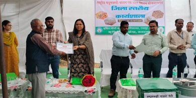 मधुमक्खी पालन से किसानों की आय में 20 से 25 प्रतिशत तक वृद्धि संभव मधुमक्खी पालन से किसानों की आय में 20 से 25 प्रतिशत तक वृद्धि संभव