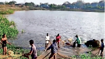 तालाब में मछली नहीं, मगरमच्छ निकला मछुआरों के जाल से