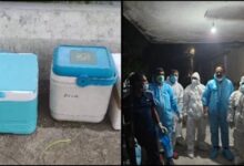 5000 पक्षियों की मौत के बाद अलर्ट: बिलासपुर पोल्ट्री फार्म में संक्रमण