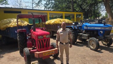 ग्राम आमाघाट में अवैध अफीम की खेती का भंडाफोड़ ग्राम आमाघाट में अवैध अफीम की खेती का भंडाफोड़