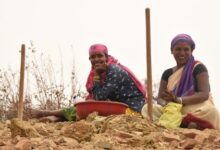 सुरक्षा, सम्मान और स्वावलंबन की बन रही नई पहचान