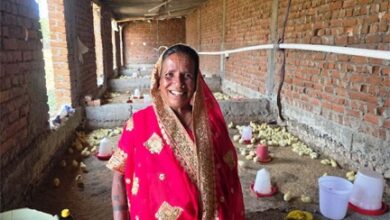 मजदूरी छोड़ ‘लखपति दीदी’ बनीं मति बाई, मुर्गी पालन से संवर रहा परिवार का भविष्य