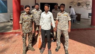 कलयुगी बेटा: मवेशियों ने खाया टमाटर तो पिता को पीट-पीटकर बेरहमी से मार डाला