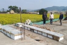 मधुमक्खी पालन: कम लागत में ज्यादा मुनाफे का बेहतर विकल्प