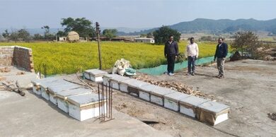 मधुमक्खी पालन: कम लागत में ज्यादा मुनाफे का बेहतर विकल्प